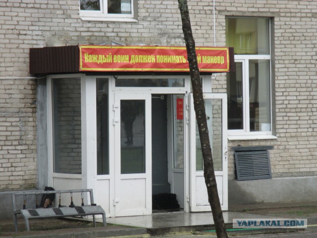 ЯП вокруг света. Германия, Австралия, Китай...