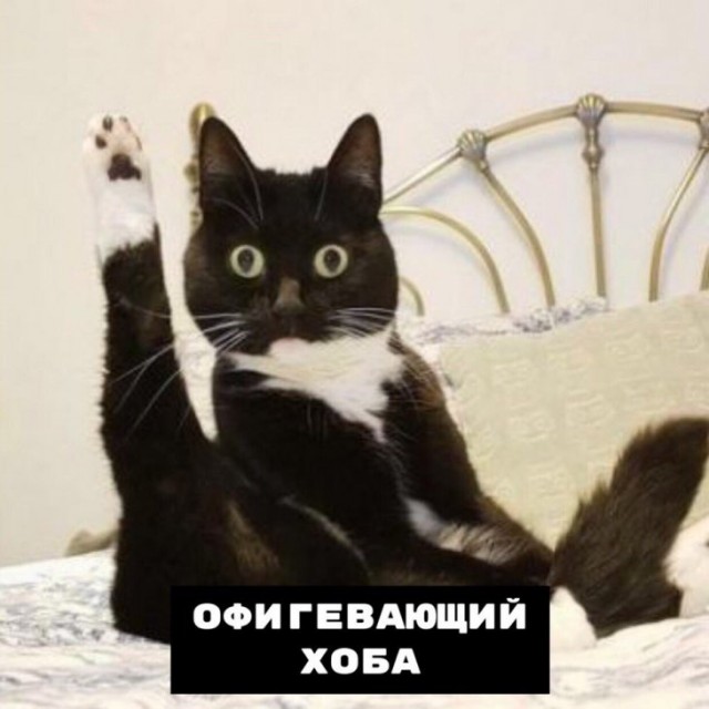 Картинки с надписями и анекдоты 27.7.19