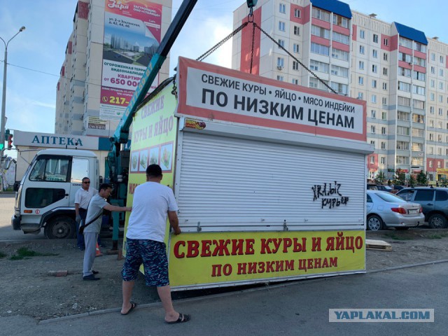 Кассовый подрыв. В Ульяновской области малый бизнес ликвидируется по-тихому