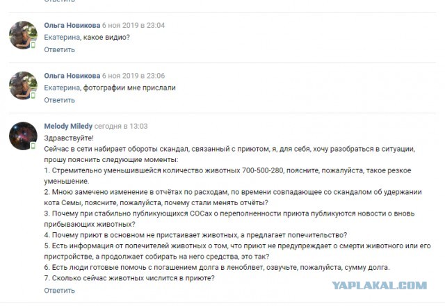 Помогите вернуть кота! Приют "Преданное сердце" украл кота и не отдает!-2