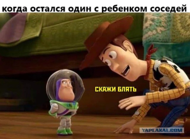 Бредзона картинок 20.11.2019