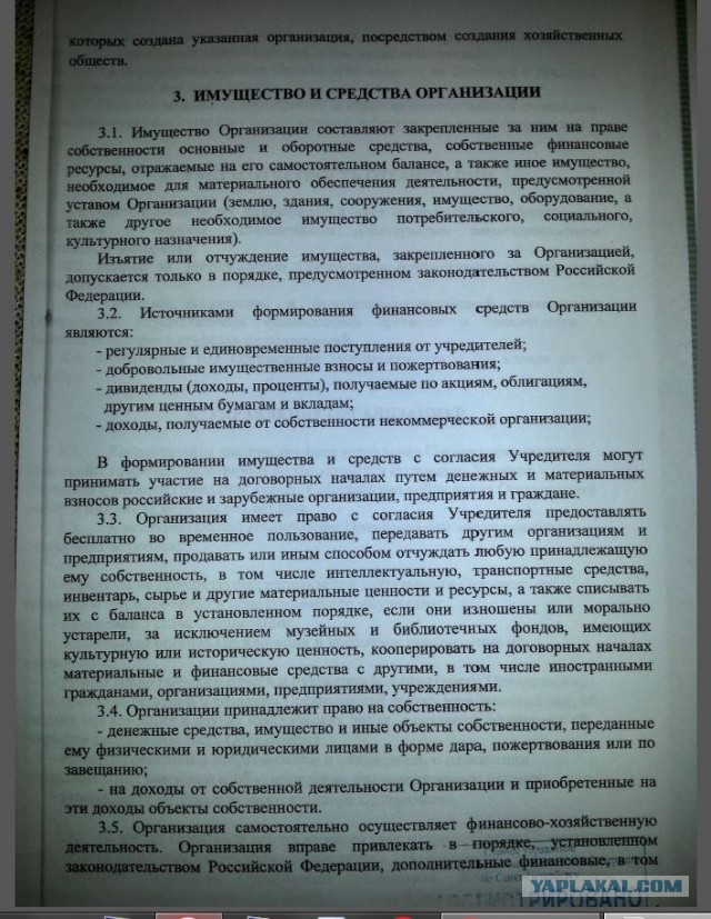 Помогите вернуть кота! Приют "Преданное сердце" украл кота и не отдает!-2