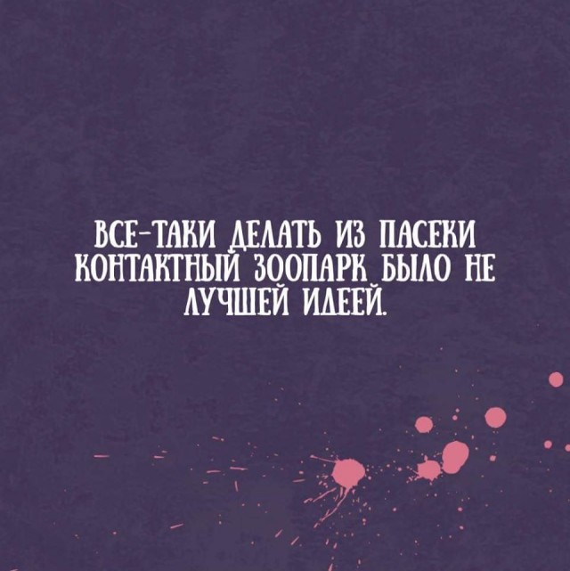 Свинегрет: картинки, надписи и прочее 06.02.20