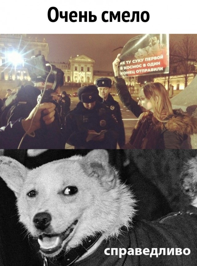 Весёлый коронавирус и не только