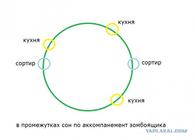 Какими маршрутами вы пользуетесь во время самоизоляции?