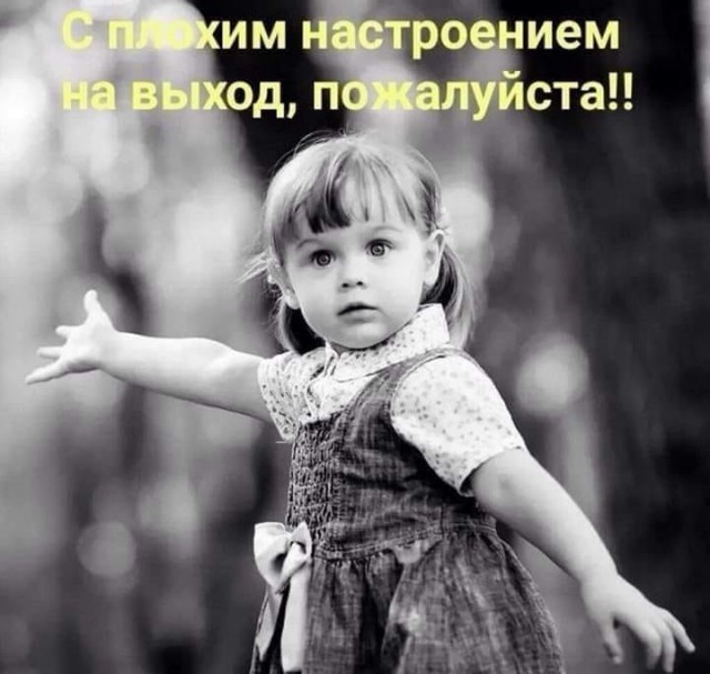 Картинки из рабочего чата 06.04.