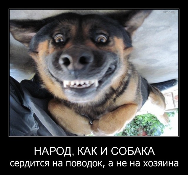 Пазитивные картинки на 18.05.2020