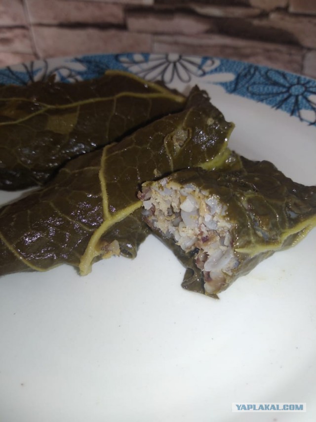 Ревнивые голубцы