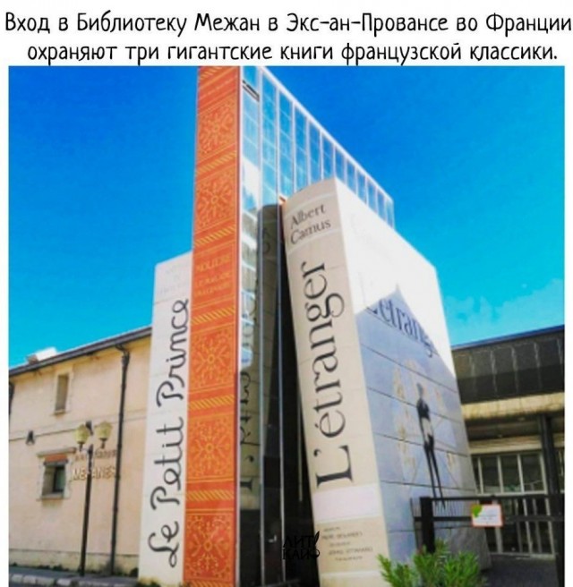 Свинегрет: картинки, надписи и прочее на 31.07 или №28
