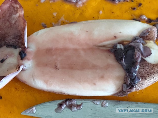 Котлетки «КК»: Кальмар+ Курица:)