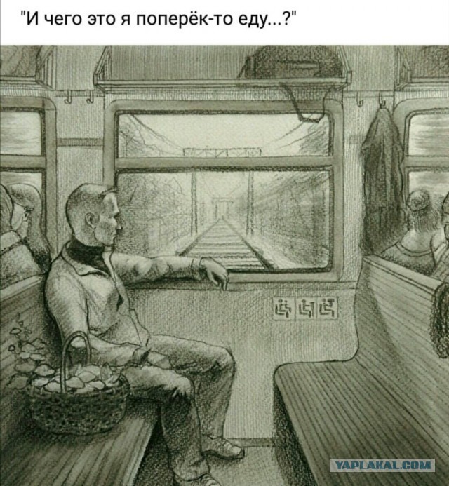 Бредзона 11.11.2020