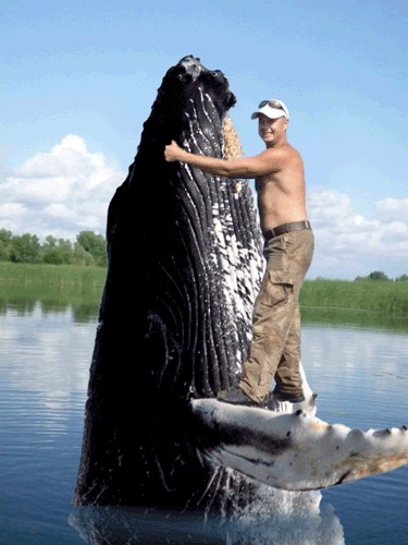 Фотожаба: На пеньке