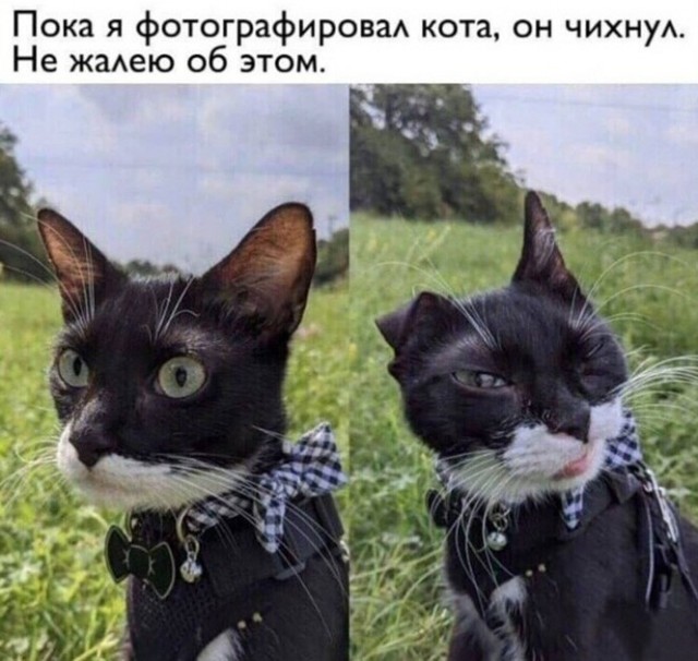 Бредзона 24.01.21
