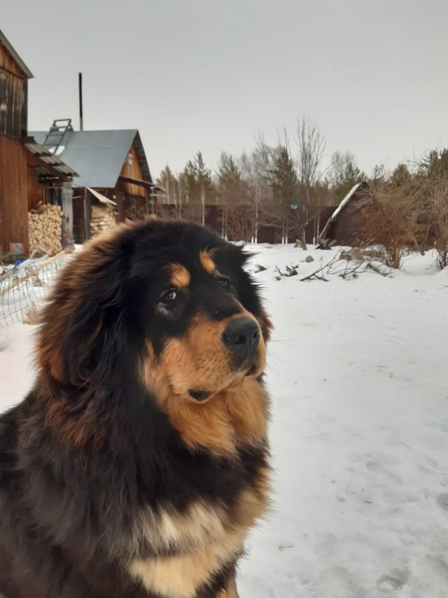 Добрые картинки 28.11.20