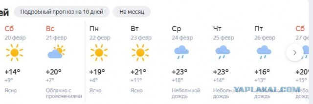 Картинка из замёрзшего Хьюстона убивает западника наповал
