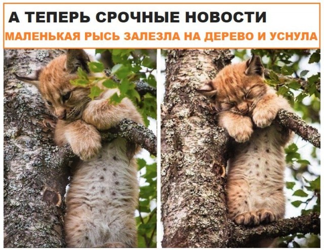 Картинки разные