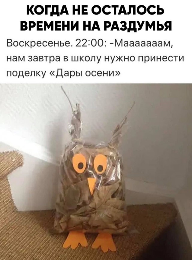 Картинки и мемы для настроения 029