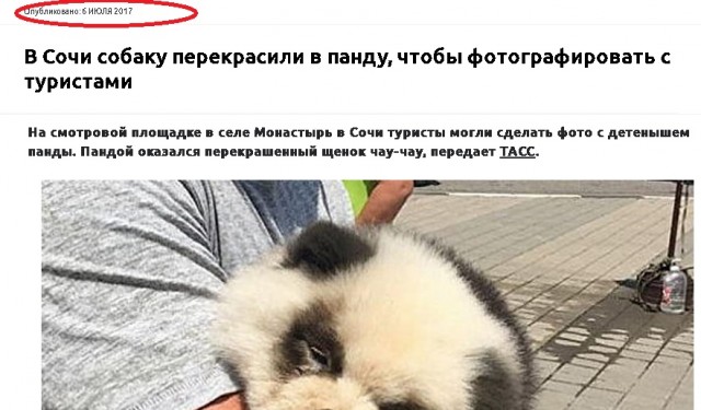 Сочи. Бизнес