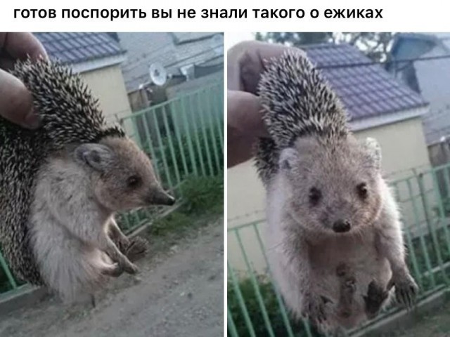 Картинки с надписями и всякие жизненные фразы 12.06.21