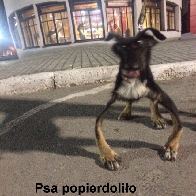 Картинки на вчера