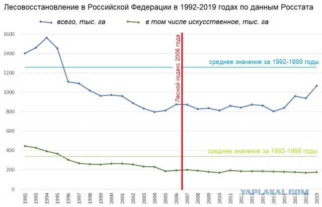 Российские леса постоянно горят, но их биомасса рекордно выросла. Как так вышло и что из этого следует?