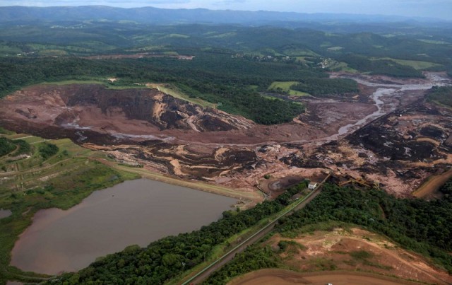 Муж и жена высадили 2,5 млн деревьев на месте бывшей вырубки и открыли частный заповедник