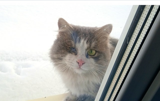 Котовторник 05.10.21 г