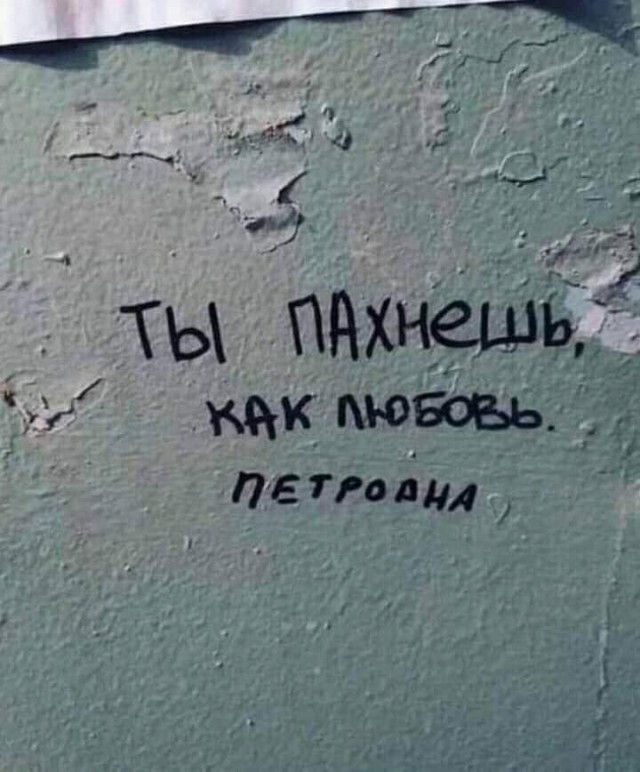 Всяческие картинки 27.12.2021