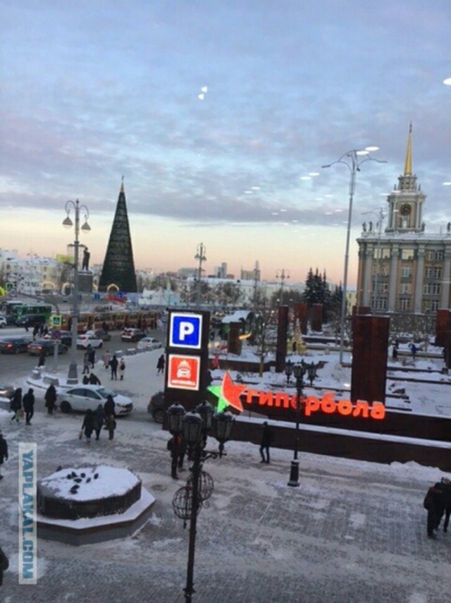 «Наши женщины берут мужчин не в мужья, а на воспитание…»