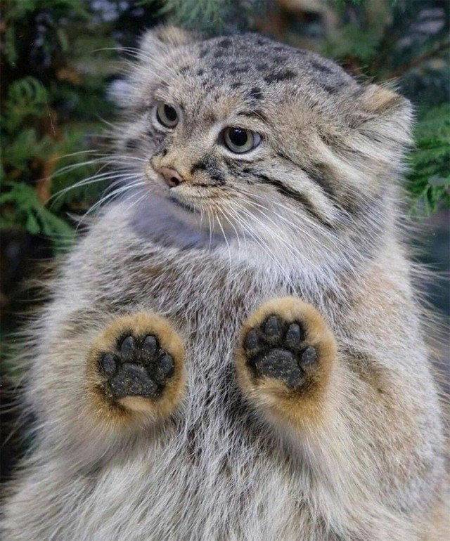 Немного картинок и прочей хреноты Vol. 9