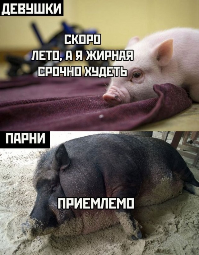 Картинки и мемы, всем хороших выходных
