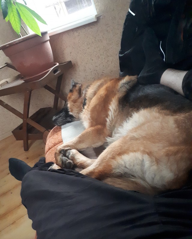 Бомжиха
