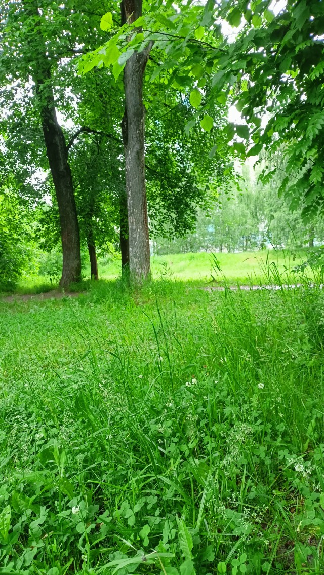 Женская сущность