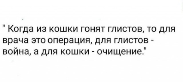 Картинки с надписями и всякие жизненные фразы