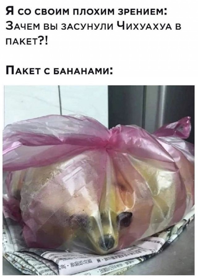Немного картинок для настроения - 112