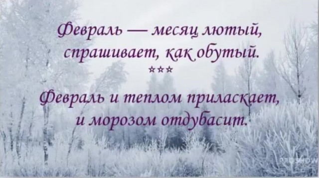 Победная поступь идиотизма по планете – том 8