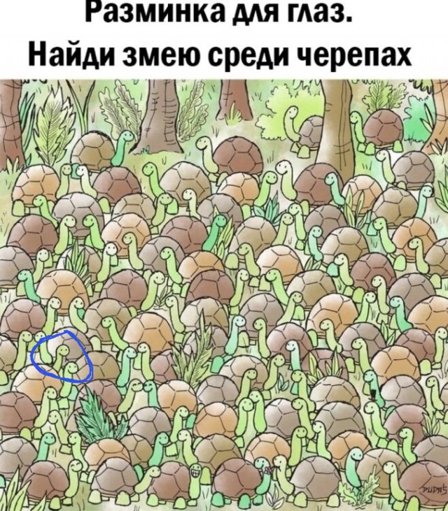 48 пятнично-фривольных картинок 07.04.2023