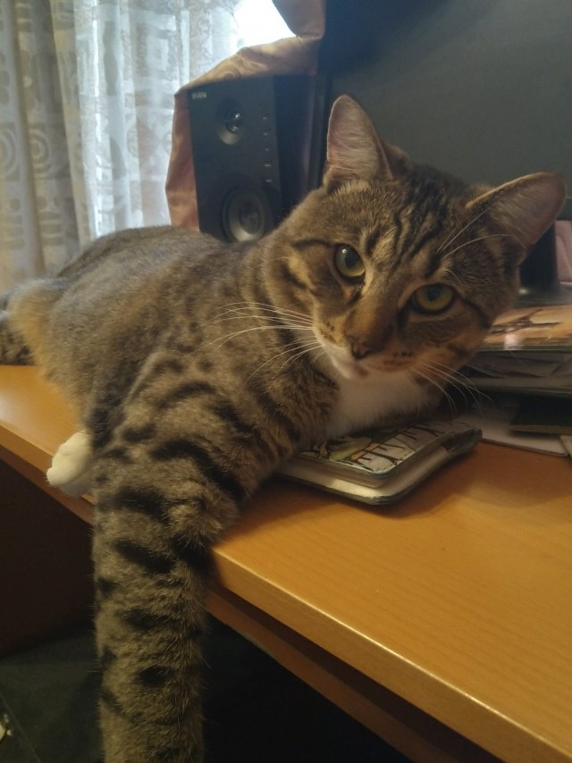 Очень люблю Моего Хозяина