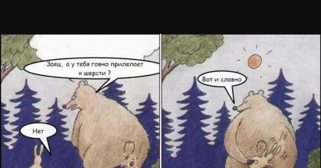 Чем вытирать задницу в походе?