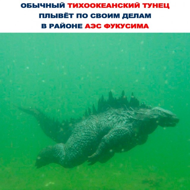 Весёлый полтишок 08.09.23