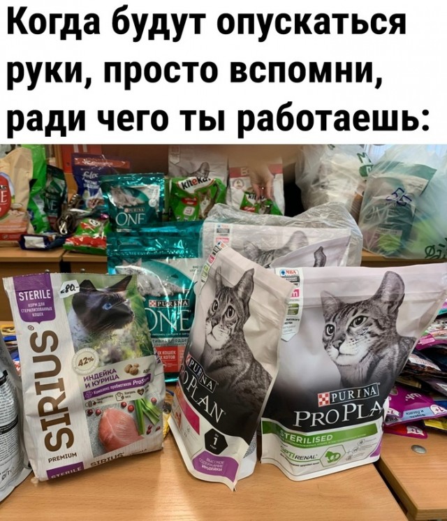 Отряд быстрого деградирования