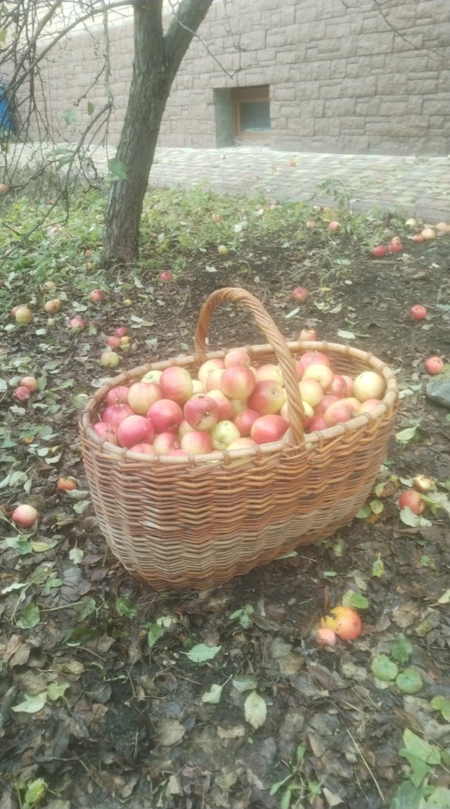 Осень в СНТ