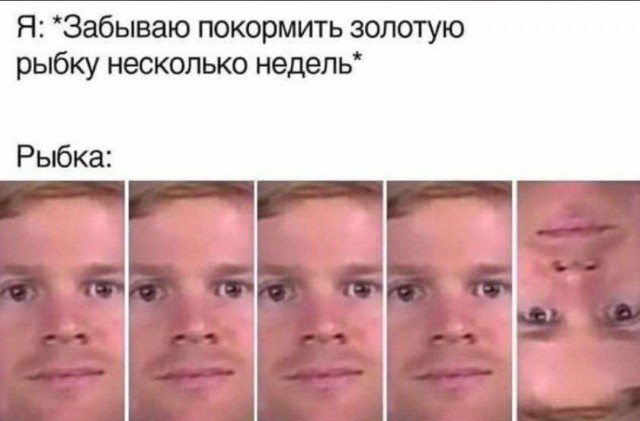Так себе картинки 24.10.23