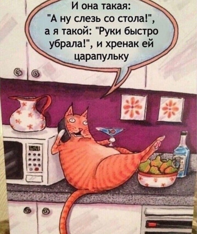 Котокартинки