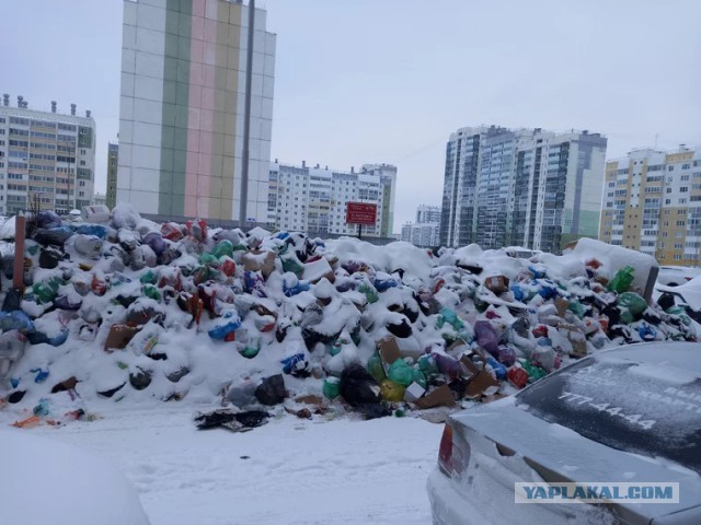 В Химках мусорный коллапс