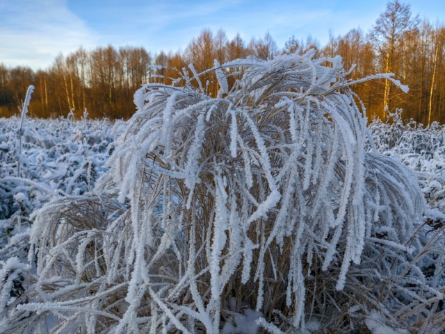Фоточку сделал сейчас