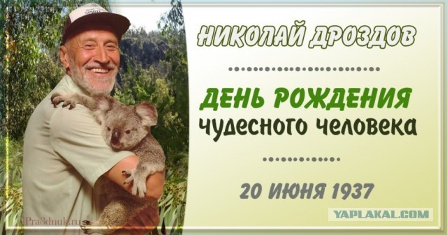 С днём рождения, Николай Николаевич!