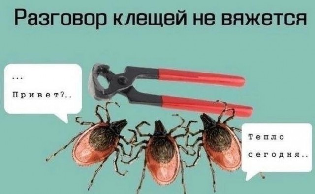 Всего понемногу. От 21.06.2024