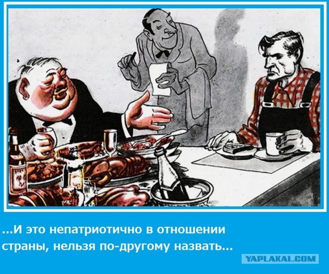 Депутат Госдумы обвинил разносчиков пиццы с высшим образованием в отсутствии патриотизма