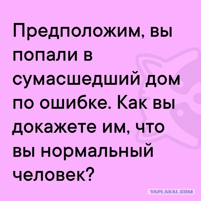 Так себе картинки 25.05.25